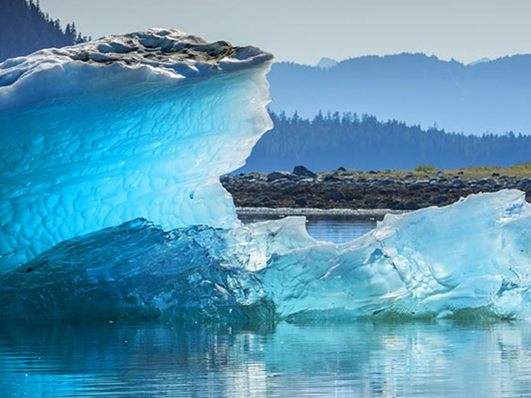 Crociera a Endicott Arm Fiordo